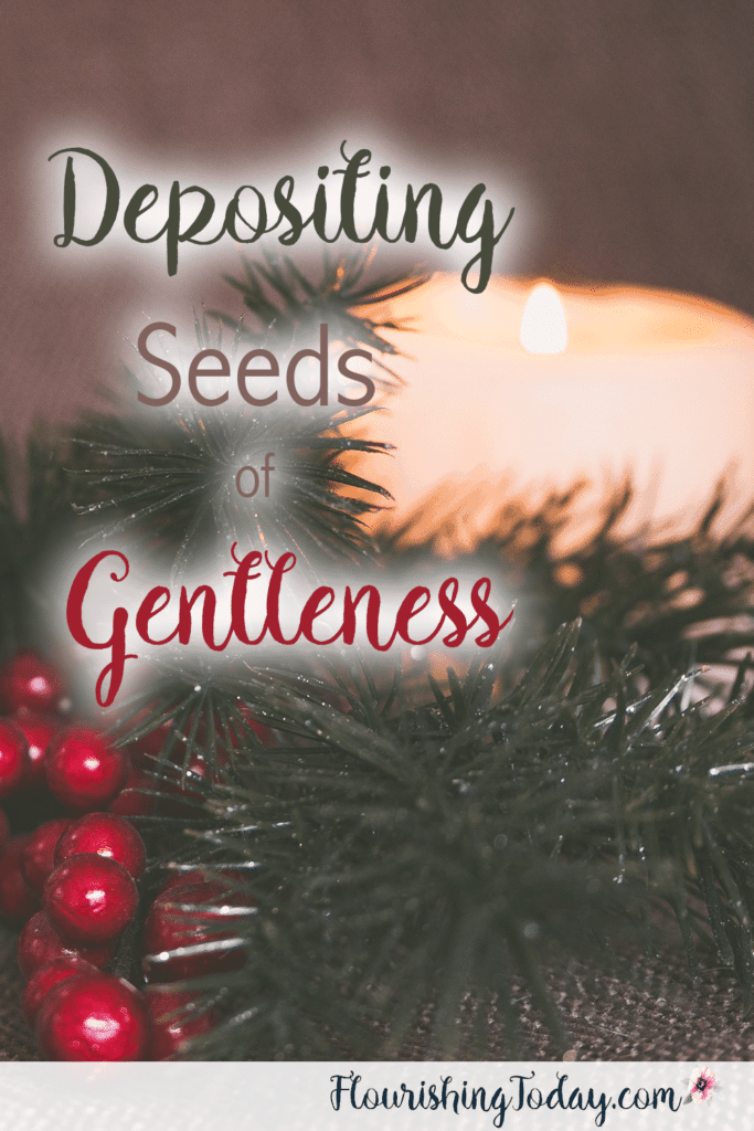 Seeds of Gentleness | Being Kind | Christmas Challenge | Fruits of the Spirit