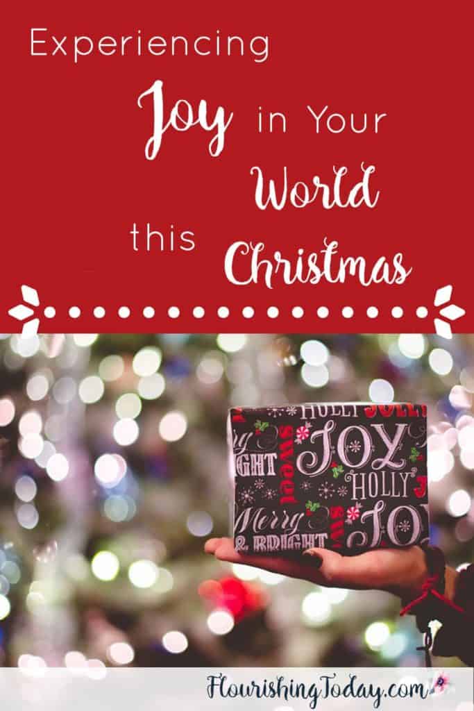 Experiencing Joy in Your World this Christmas | Joy to the World | Christmas Challenge | Jesus the Reason for the Season