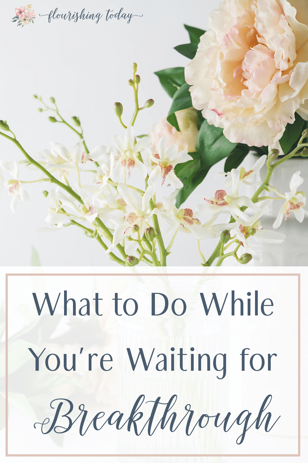 Are there places in your life that seem dead or forgotten? How do you hang on to hope while your waiting for God's timing? Here are a few things to do while your waiting for breakthrough. #breakthrough #waiting #Godstiming