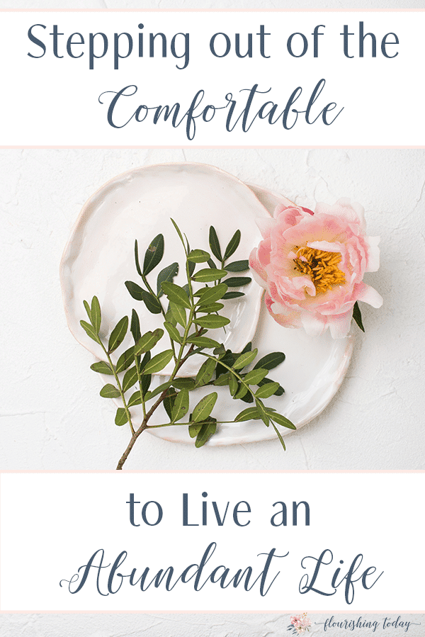 How do we step out and follow Jesus when life gets uncomfortable? Do we give up or ignore His voice? Following Him has a cost, but also a great reward. Are you ready to step out of the comfortable to live an abundant life? Here's some tips to get you started. #comfort #bibleverses 