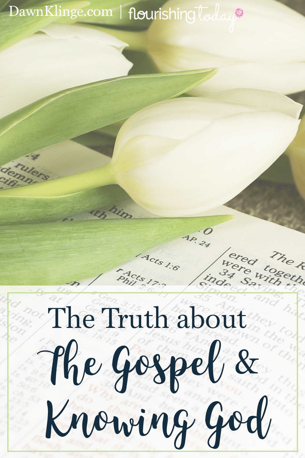 Do you want to know more about who God is? When we learn the truth about the gospel, we gain greater insight into who the Father is. 